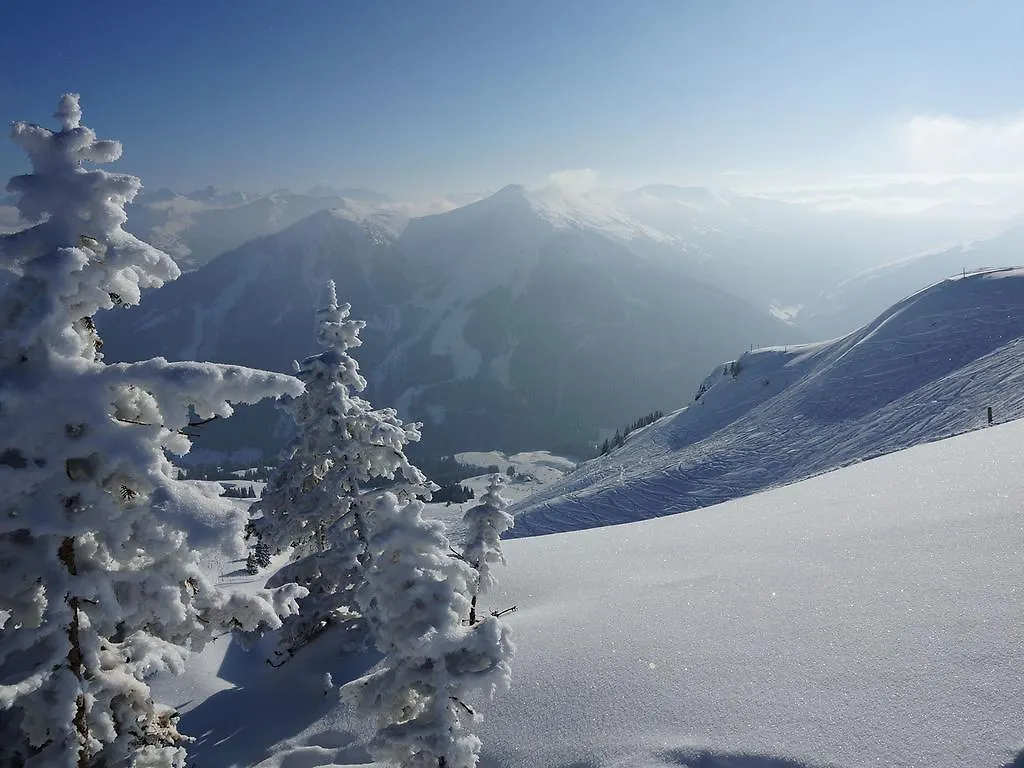 Landhaus Zehentner Saalbach-Hinterglemm 0*,  Austria